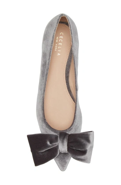 Shop Cecelia New York Brie Bow Pointed Toe Flat In Gray Velvet