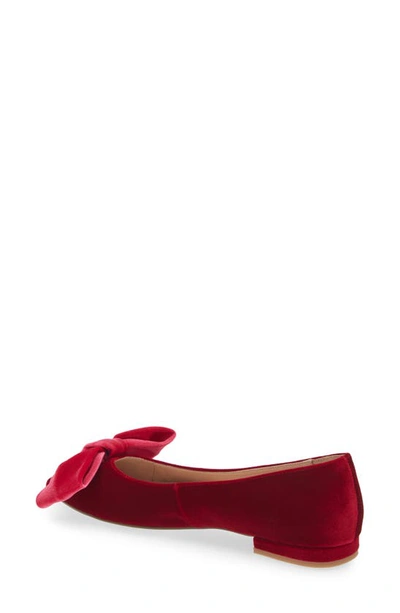 Shop Cecelia New York Brie Bow Pointed Toe Flat In Pink Velvet