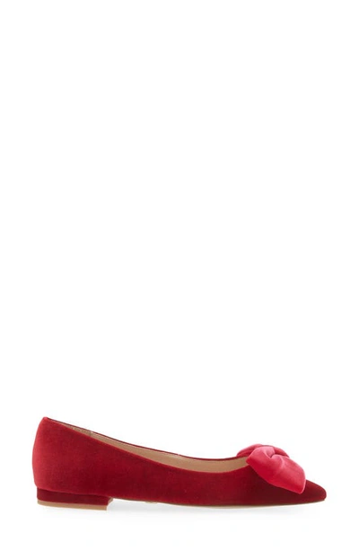 Shop Cecelia New York Brie Bow Pointed Toe Flat In Pink Velvet