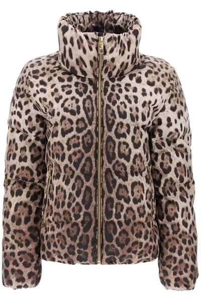 Shop Dolce & Gabbana Leopard Print Short Puffer Jacket In Multicolor
