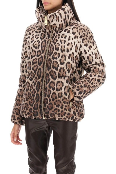 Shop Dolce & Gabbana Leopard Print Short Puffer Jacket In Multicolor