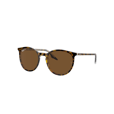 Shop Ray Ban Rb2204 Sunglasses Havana On Transparent Frame Brown Lenses Polarized 51-20