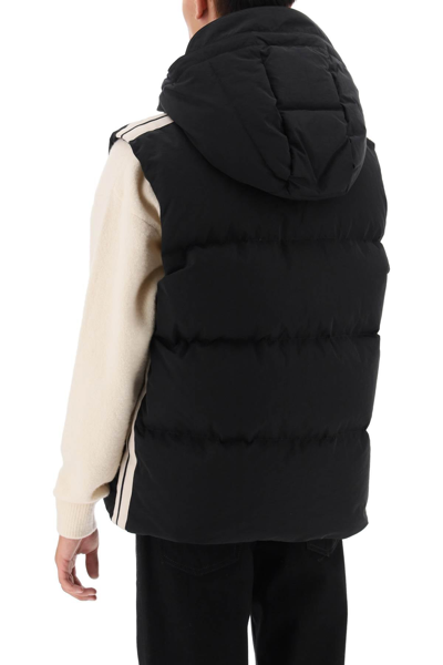 Shop Palm Angels Puffer Vest With Contrasting Bands Men In Black
