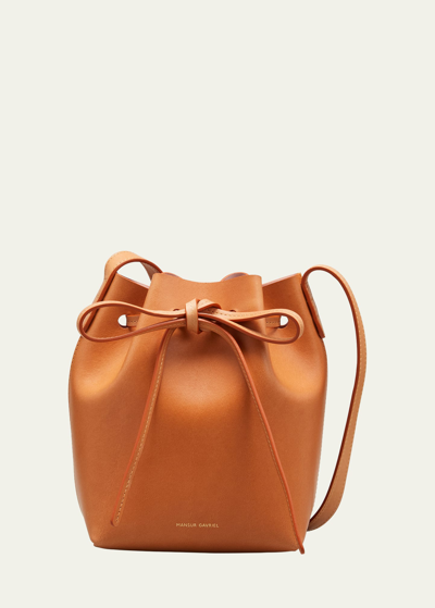 Shop Mansur Gavriel Mini Mini Vegetable-tanned Leather Bucket Bag In Rose