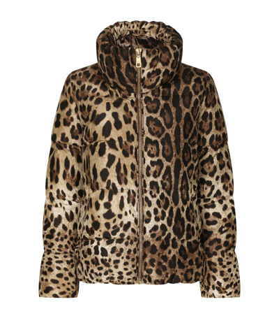 Shop Dolce & Gabbana Leopard Print Puffer Jacket In Multi