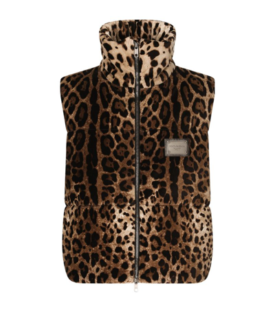 Shop Dolce & Gabbana Leopard Print Puffer Gilet In Multi