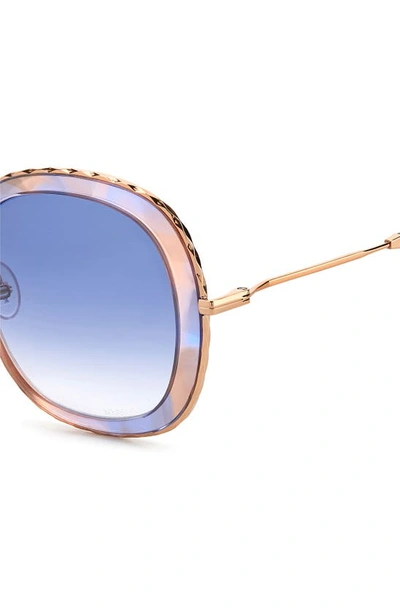 Shop Missoni 53mm Round Sunglasses In Azul Havana Pink/ Violet