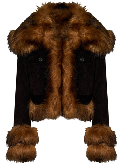 Shop Dsquared2 Collared Fur Trimmed Jacket In Brown
