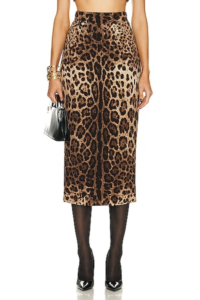 Shop Dolce & Gabbana Pencil Skirt In Leopard