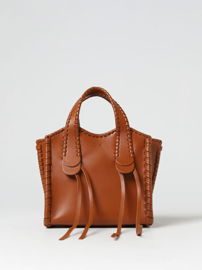 Shop Chloé Mony Leather Bag In Brown