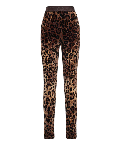 Dolce & Gabbana High Waist Leopard Print Cotton Blend Leggings In Multicolor