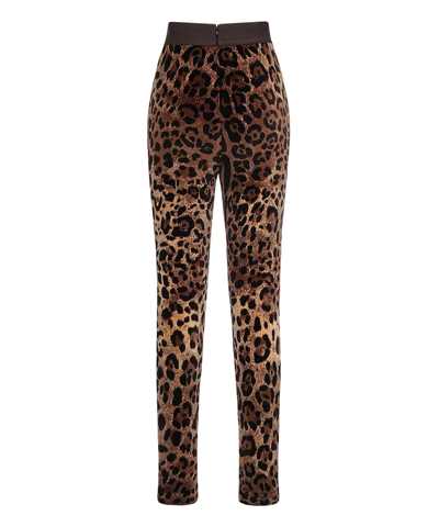 Dolce & Gabbana High Waist Leopard Print Cotton Blend Leggings In Multicolor