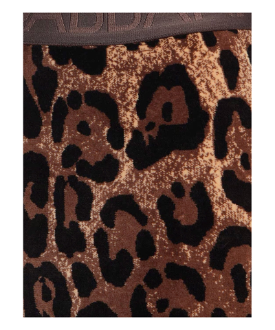 Dolce & Gabbana High Waist Leopard Print Cotton Blend Leggings In Multicolor