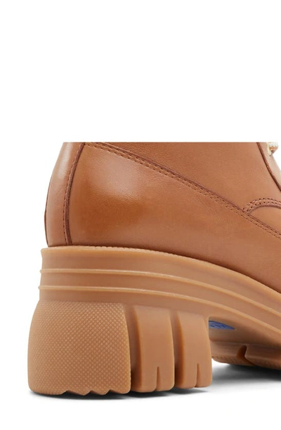 Shop Aldo Marni Waterproof Lace-up Boot In Medium Brown