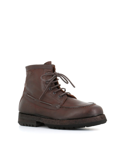 Shop Alexander Hotto Lace-up Boot 64024 In Brown