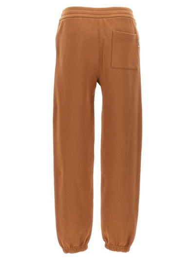 Jil Sander Cotton Drawstring Track Pants In Brown