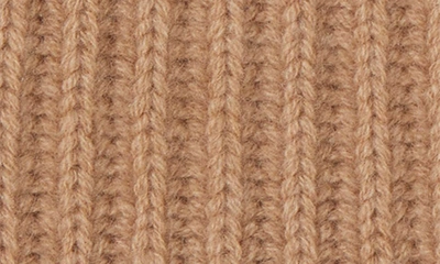 Shop Bruno Magli Cashmere Ribbed Knit Beanie In Camel