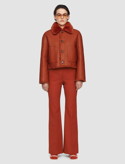 Joseph Alloway Reversible Shearling Jacket In Cinnamon