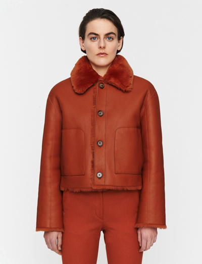 Joseph Alloway Reversible Shearling Jacket In Cinnamon