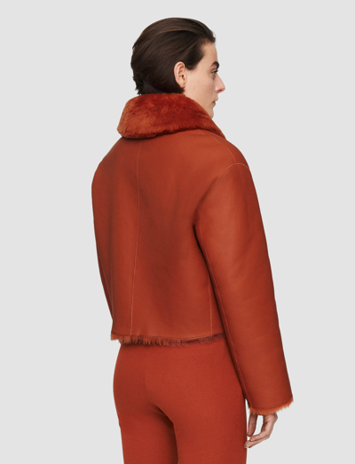 Joseph Alloway Reversible Shearling Jacket In Cinnamon
