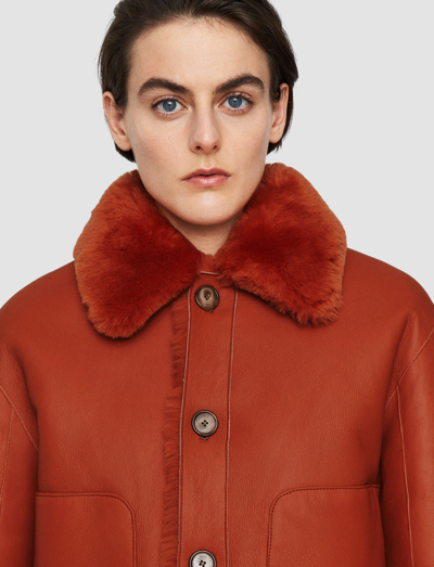 Joseph Alloway Reversible Shearling Jacket In Cinnamon