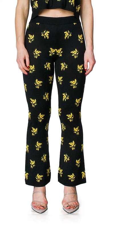Shop Naya Rea Vita Knit Pants In Black/yellow Flowers In Multi