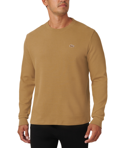 Lacoste Crocodile-patch Sweater In Beige