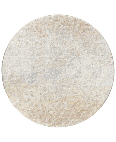 Shop Addison Rylee Outdoor Washable Ary33 8' X 8' Round Area Rug In Beige