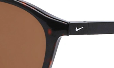 Shop Nike Neo Rd 50mm Round Sunglasses In Tortoise/ Brown