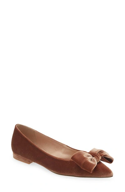 Shop Cecelia New York Brie Bow Pointed Toe Flat In Dark Taupe Velvet
