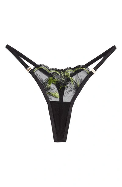 Shop Bluebella Coppelia Embroidered Mesh Thong In Black/tender Shoots