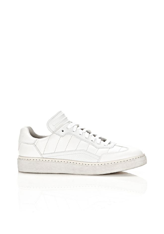 alexander wang converse