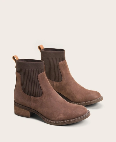 Shop Gentle Souls Best Chelsea Sock Bootie In Espresso