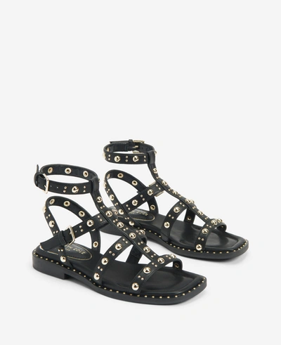 Shop Kenneth Cole Ruby Studded Gladiator Flat Sandal In Black