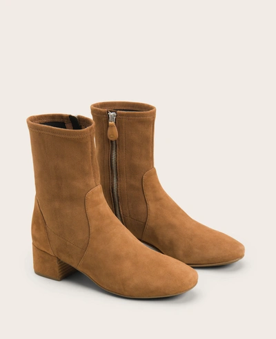 Gentle Souls Ella Leather Stretch Bootie In Cognac
