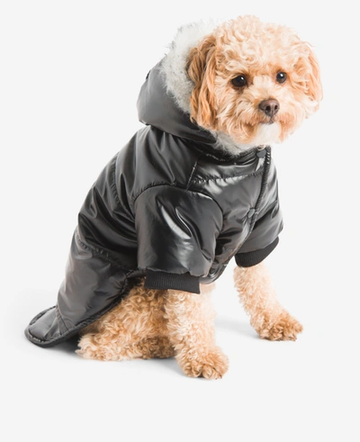 Shop Kenneth Cole Metallic Hooded Puffer Dog Coat In Black