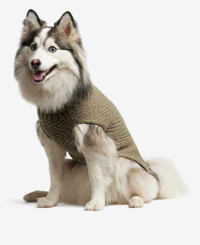 Shop Kenneth Cole Cable Knit Dog Sweater In Tan
