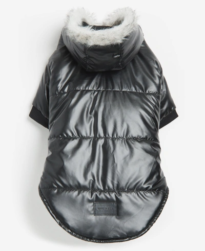 Shop Kenneth Cole Metallic Hooded Puffer Dog Coat In Black