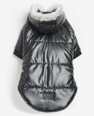 Kenneth Cole Metallic Hooded Puffer Dog Coat In Black