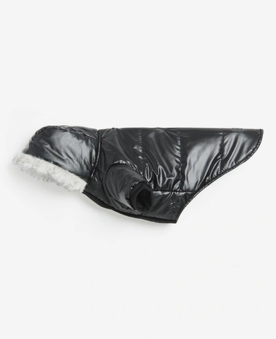 Kenneth Cole Metallic Hooded Puffer Dog Coat In Black