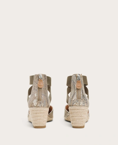 Gentle Souls Orya Leather Espadrille Wedge In Dark Brown Snake
