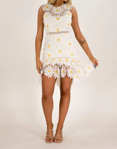 Shop Saylor Cori Daisy Mini Dress In White