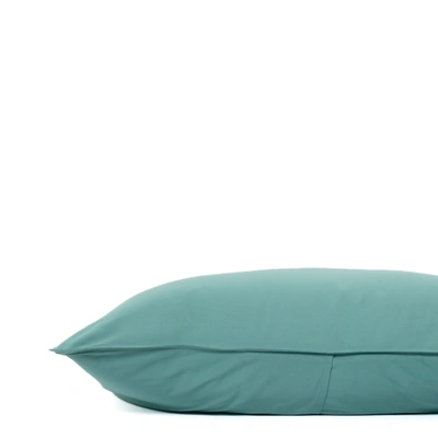Shop Canadian Down & Feather Company Turquoise Body Pillowcase