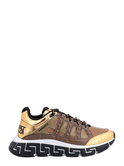 Shop Versace Trigreca Sneakers In Brown/gold