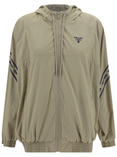 Prada Cotton Shell Hooded Jacket In Kaki