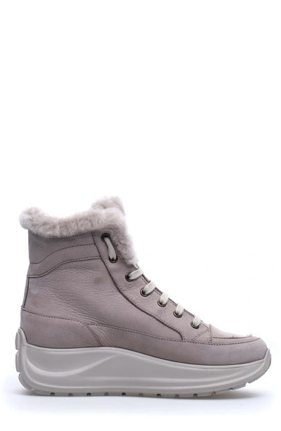 Candice Cooper Spark Vancouver Genuine Shearling High Top Sneaker