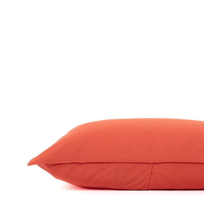 Shop Canadian Down & Feather Company Persimmon Body Pillowcase