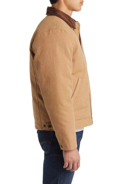 Shop Schott Nyc Union Cotton Canvas Down Work Jacket In Khaki