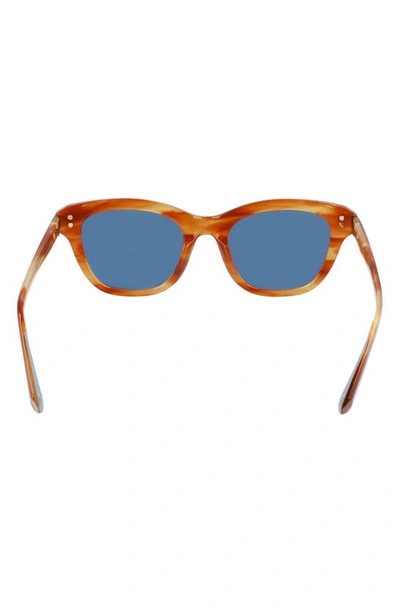 Shop Shinola 52mm Cat Eye Sunglasses In Amber Horn