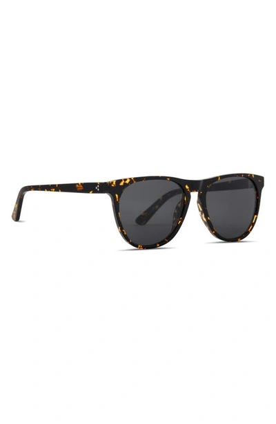 Diff Darren 55mm Polarized Round Sunglasses In Brown Multi